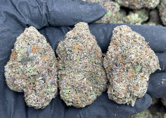 Blackout Truffle
