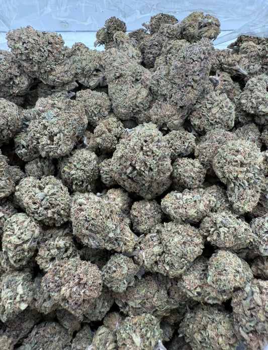 GSC
