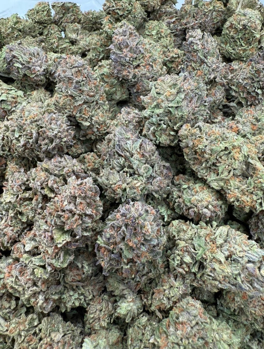 Candy Land